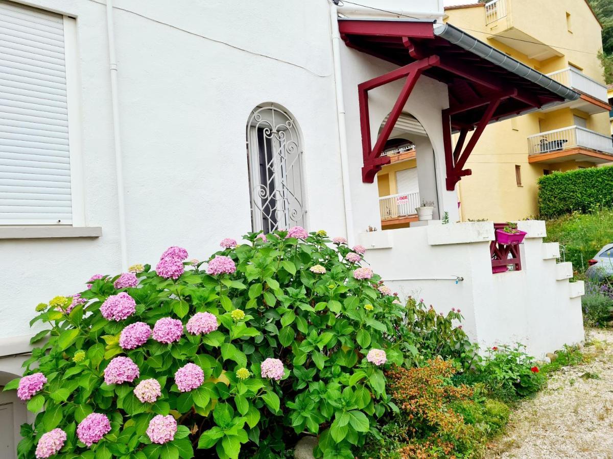 Villa La Closeraie Amélie-les-Bains-Palalda Eksteriør bilde